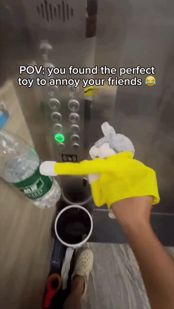 Kung Fu Husky Hand Puppet